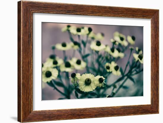 Yellow Flowers-Tim Kahane-Framed Photographic Print