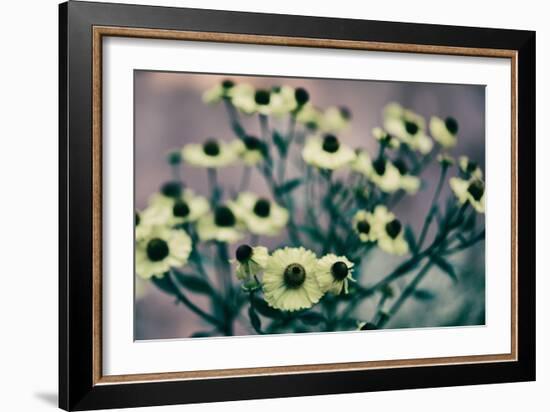 Yellow Flowers-Tim Kahane-Framed Photographic Print