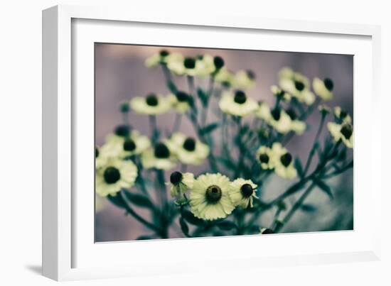 Yellow Flowers-Tim Kahane-Framed Photographic Print