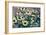 Yellow Flowers-Tim Kahane-Framed Photographic Print