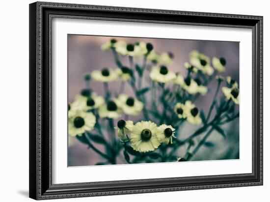 Yellow Flowers-Tim Kahane-Framed Photographic Print