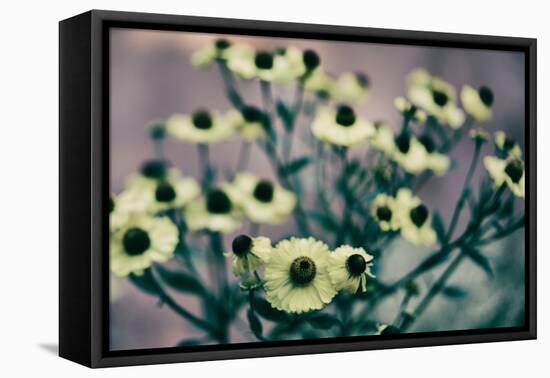 Yellow Flowers-Tim Kahane-Framed Premier Image Canvas