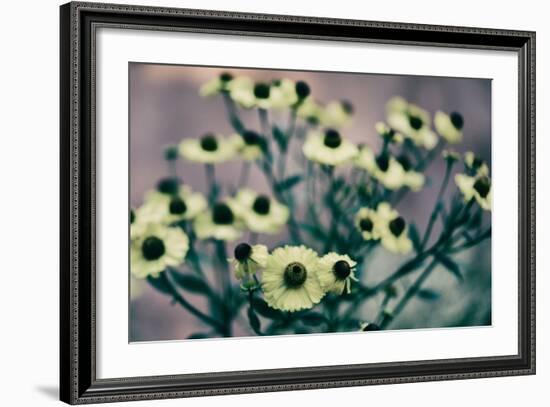 Yellow Flowers-Tim Kahane-Framed Photographic Print