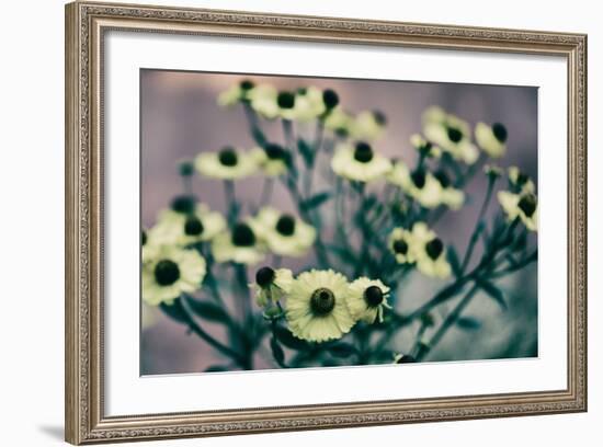 Yellow Flowers-Tim Kahane-Framed Photographic Print