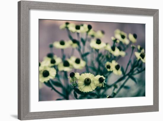 Yellow Flowers-Tim Kahane-Framed Photographic Print