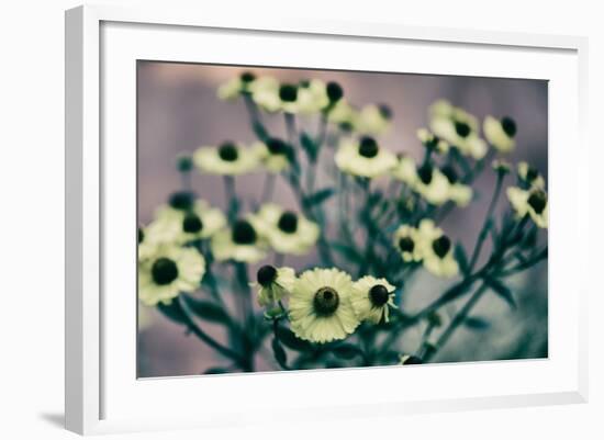 Yellow Flowers-Tim Kahane-Framed Photographic Print