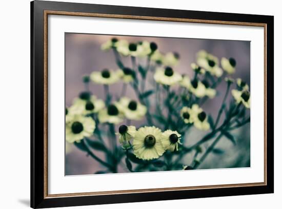 Yellow Flowers-Tim Kahane-Framed Photographic Print