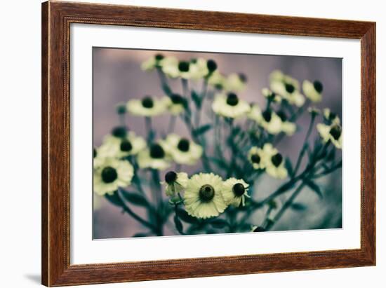 Yellow Flowers-Tim Kahane-Framed Photographic Print