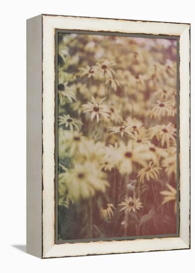 Yellow Flowers-Tim Kahane-Framed Premier Image Canvas