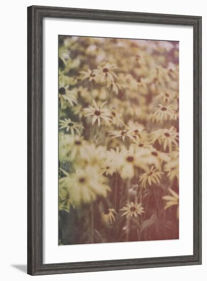 Yellow Flowers-Tim Kahane-Framed Photographic Print
