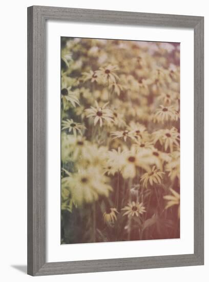 Yellow Flowers-Tim Kahane-Framed Photographic Print