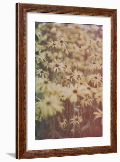 Yellow Flowers-Tim Kahane-Framed Photographic Print