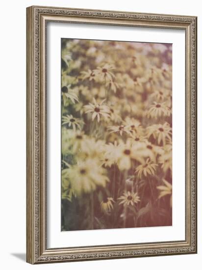 Yellow Flowers-Tim Kahane-Framed Photographic Print