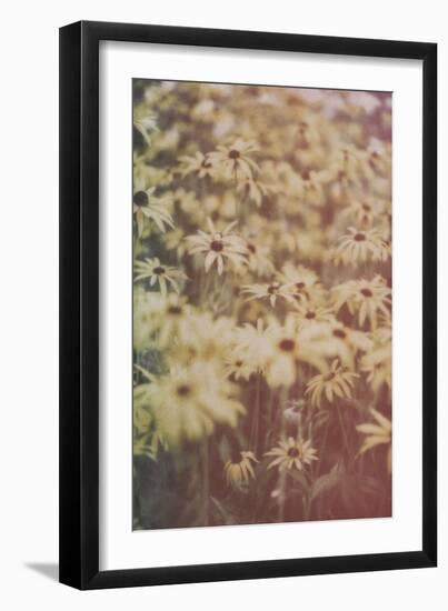 Yellow Flowers-Tim Kahane-Framed Photographic Print