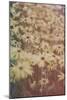 Yellow Flowers-Tim Kahane-Mounted Photographic Print