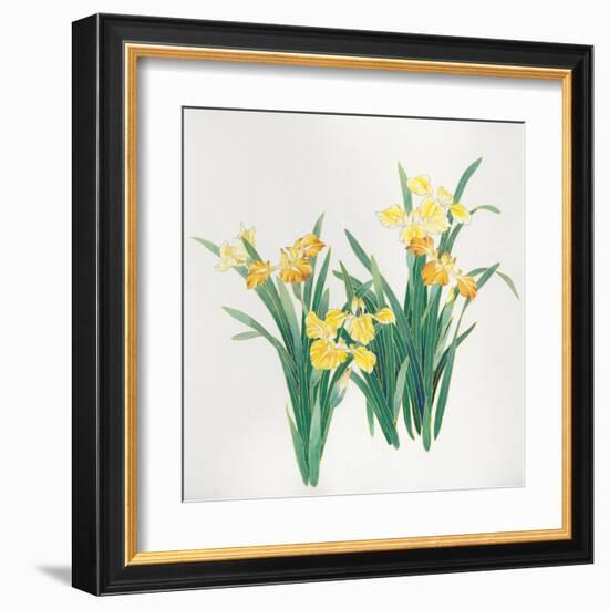 Yellow Flowers-Haruyo Morita-Framed Art Print