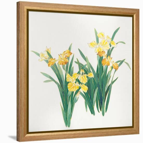 Yellow Flowers-Haruyo Morita-Framed Stretched Canvas