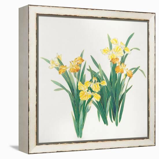 Yellow Flowers-Haruyo Morita-Framed Stretched Canvas