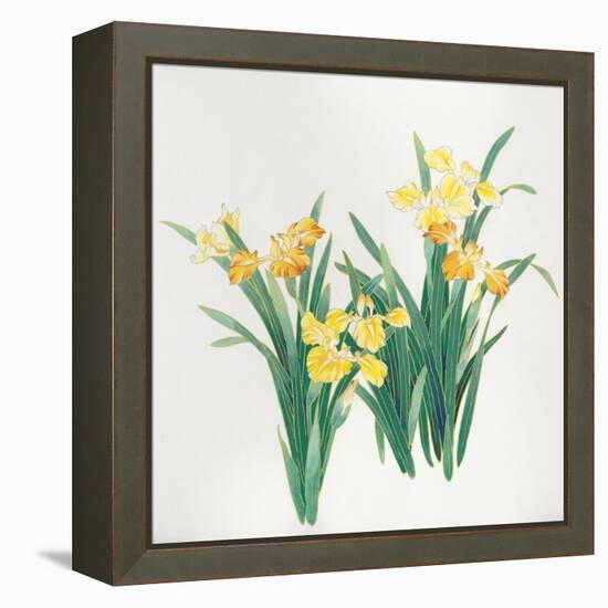 Yellow Flowers-Haruyo Morita-Framed Stretched Canvas