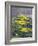 Yellow Flowers-Rusty Frentner-Framed Giclee Print