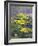 Yellow Flowers-Rusty Frentner-Framed Giclee Print