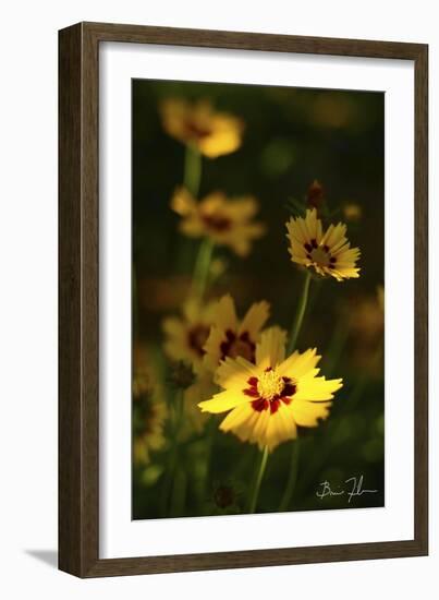 Yellow Flowers-5fishcreative-Framed Giclee Print