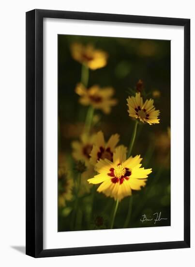 Yellow Flowers-5fishcreative-Framed Giclee Print