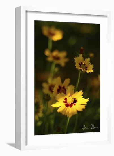 Yellow Flowers-5fishcreative-Framed Giclee Print