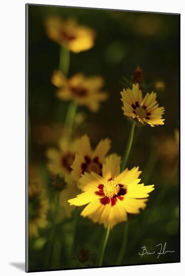 Yellow Flowers-5fishcreative-Mounted Giclee Print