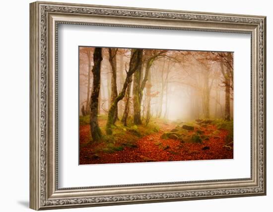 Yellow Forest Mist-Philippe Sainte-Laudy-Framed Photographic Print