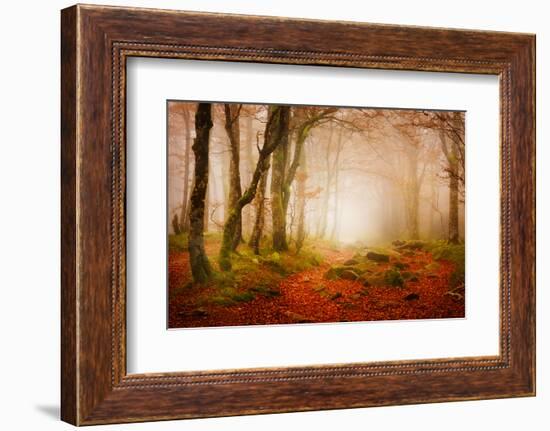 Yellow Forest Mist-Philippe Sainte-Laudy-Framed Photographic Print