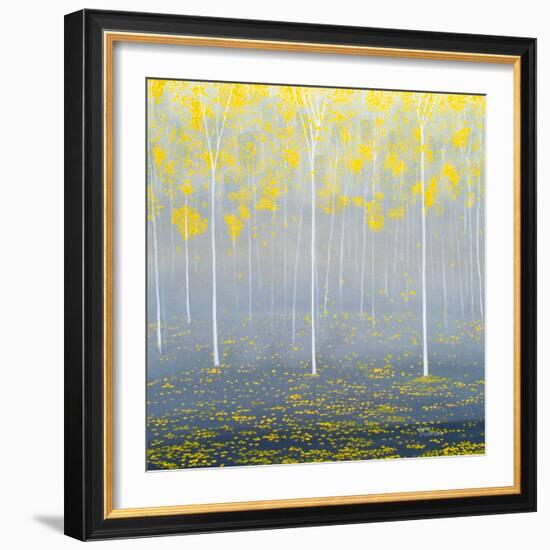 Yellow Forest-Herb Dickinson-Framed Photographic Print