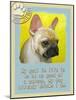 Yellow French Bulldog-Cathy Cute-Mounted Giclee Print