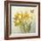 Yellow French Tulips-Danhui Nai-Framed Art Print