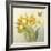 Yellow French Tulips-Danhui Nai-Framed Art Print