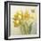 Yellow French Tulips-Danhui Nai-Framed Art Print