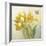 Yellow French Tulips-Danhui Nai-Framed Art Print