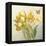 Yellow French Tulips-Danhui Nai-Framed Stretched Canvas