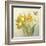 Yellow French Tulips-Danhui Nai-Framed Art Print