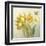 Yellow French Tulips-Danhui Nai-Framed Art Print