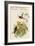 Yellow Fronted Panoplite Hummingbird-John Gould-Framed Art Print