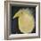 Yellow Fuzzy Bird-Tim Nyberg-Framed Giclee Print