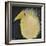 Yellow Fuzzy Bird-Tim Nyberg-Framed Giclee Print