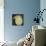 Yellow Fuzzy Bird-Tim Nyberg-Mounted Giclee Print displayed on a wall