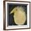 Yellow Fuzzy Bird-Tim Nyberg-Framed Giclee Print