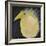 Yellow Fuzzy Bird-Tim Nyberg-Framed Giclee Print