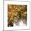 Yellow Geraniums-Philip Craig-Mounted Giclee Print