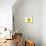 Yellow Gerbera-Christine Zalewski-Mounted Premium Giclee Print displayed on a wall