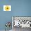 Yellow Gerbera-Christine Zalewski-Art Print displayed on a wall