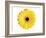 Yellow Gerbera-Christine Zalewski-Framed Art Print